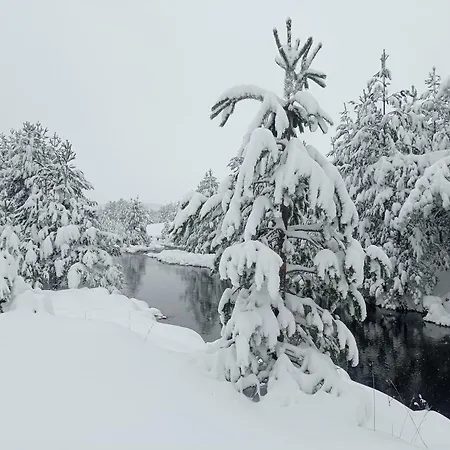 Case de vacanță Garac Vikendica Zlatibor