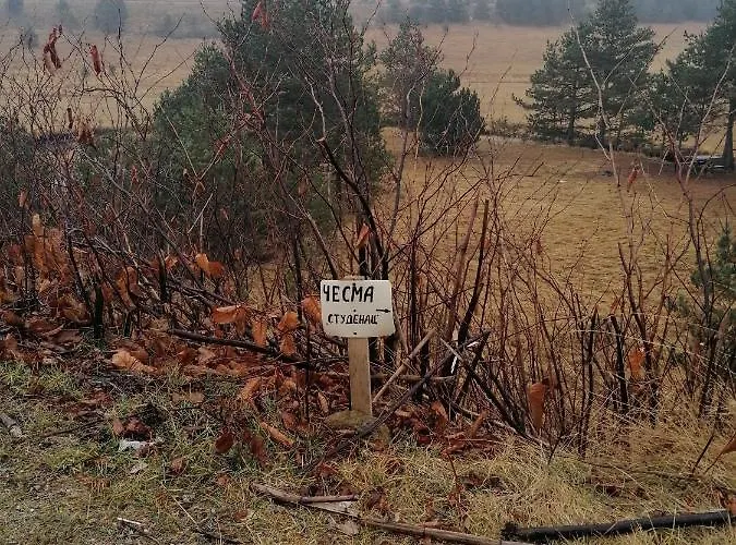 Garac Vikendica * 즐라티보