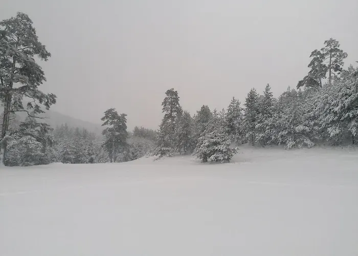 Garac Vikendica 즐라티보