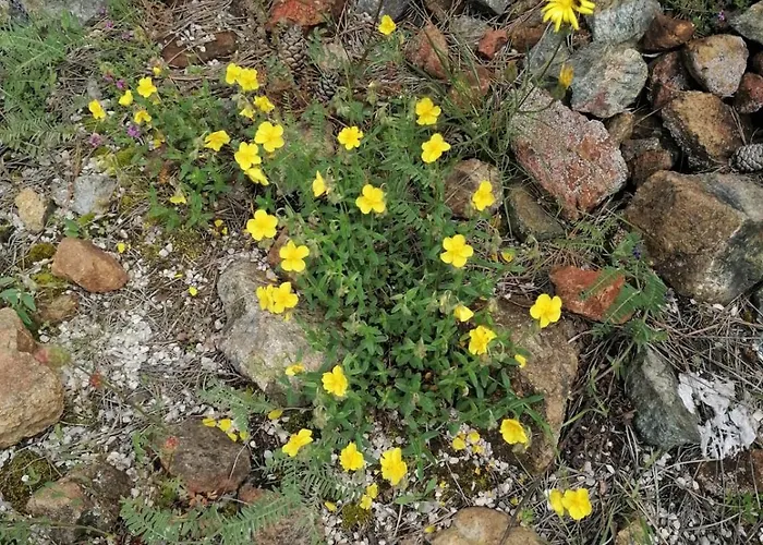 Garac Vikendica 펜션 즐라티보